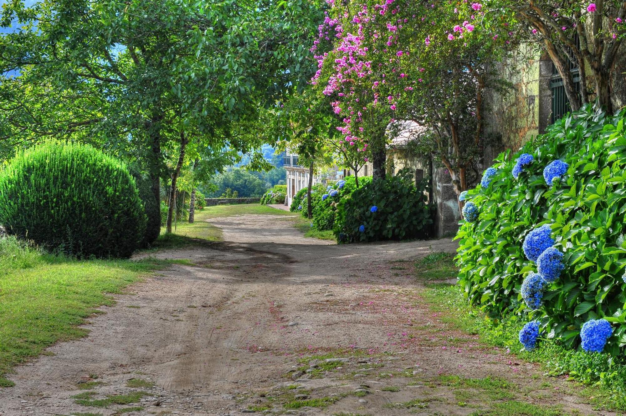 Вилла Quinta De Luou Santa Cruz do Lima Экстерьер фото