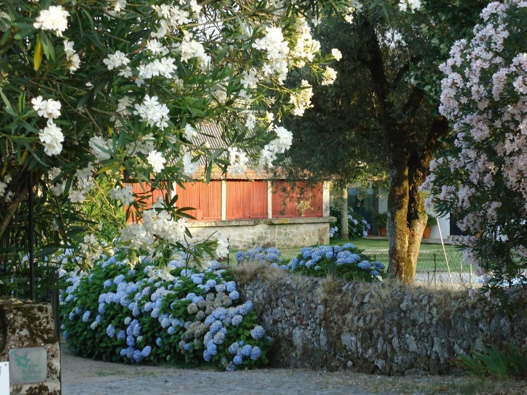 Вилла Quinta De Luou Santa Cruz do Lima Номер фото